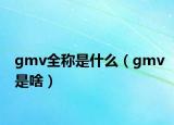 gmv全稱(chēng)是什么（gmv是啥）