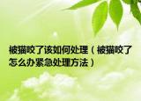 被貓咬了該如何處理（被貓咬了怎么辦緊急處理方法）