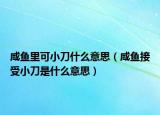 咸魚里可小刀什么意思（咸魚接受小刀是什么意思）