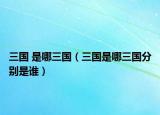 三國 是哪三國（三國是哪三國分別是誰）