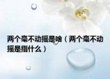 兩個毫不動搖是啥（兩個毫不動搖是指什么）