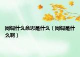 網(wǎng)調(diào)什么意思是什么（網(wǎng)調(diào)是什么?。? /></span></a>
                        <h2><a href=