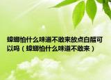 蟑螂怕什么味道不敢來放點(diǎn)白醋可以嗎（蟑螂怕什么味道不敢來）