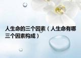人生命的三個(gè)因素（人生命有哪三個(gè)因素構(gòu)成）