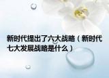 新時(shí)代提出了六大戰(zhàn)略（新時(shí)代七大發(fā)展戰(zhàn)略是什么）