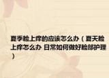 夏季臉上癢的應(yīng)該怎么辦（夏天臉上癢怎么辦 日常如何做好臉部護理）