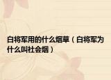 白將軍用的什么煙草（白將軍為什么叫社會煙）