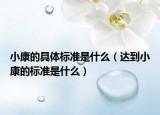 小康的具體標準是什么（達到小康的標準是什么）