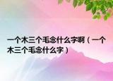 一個(gè)木三個(gè)毛念什么字?。ㄒ粋€(gè)木三個(gè)毛念什么字）