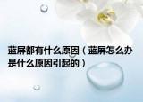 藍屏都有什么原因（藍屏怎么辦 是什么原因引起的）