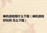 單機(jī)游戲用什么下載（單機(jī)游戲好玩嗎 怎么下載）