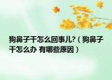 狗鼻子干怎么回事兒?（狗鼻子干怎么辦 有哪些原因）