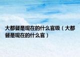 大都督是現(xiàn)在的什么官級（大都督是現(xiàn)在的什么官）