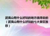 武夷山有什么好玩的地方值得去的（武夷山有什么好玩的七大景區(qū)推薦）