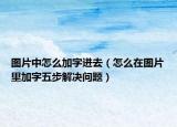 圖片中怎么加字進(jìn)去（怎么在圖片里加字五步解決問(wèn)題）