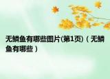 無(wú)鱗魚有哪些圖片(第1頁(yè))（無(wú)鱗魚有哪些）