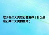啥子是三大類巖石的主體（什么是巖石中三大類的主體）