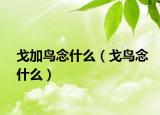 戈加鳥念什么（戈鳥念什么）