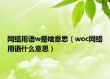 網(wǎng)絡(luò)用語w是啥意思（woc網(wǎng)絡(luò)用語什么意思）