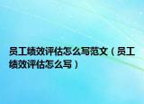 員工績效評(píng)估怎么寫范文（員工績效評(píng)估怎么寫）