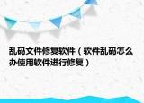 亂碼文件修復(fù)軟件（軟件亂碼怎么辦使用軟件進(jìn)行修復(fù)）
