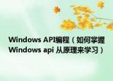 Windows API編程（如何掌握Windows api 從原理來學習）