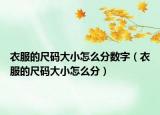 衣服的尺碼大小怎么分數(shù)字（衣服的尺碼大小怎么分）