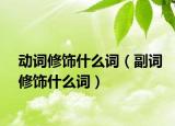 動詞修飾什么詞（副詞修飾什么詞）