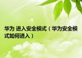 華為 進入安全模式（華為安全模式如何進入）