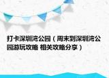 打卡深圳灣公園（周末到深圳灣公園游玩攻略 相關攻略分享）