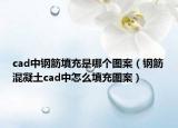 cad中鋼筋填充是哪個圖案（鋼筋混凝土cad中怎么填充圖案）