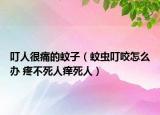 叮人很痛的蚊子（蚊蟲(chóng)叮咬怎么辦 疼不死人癢死人）
