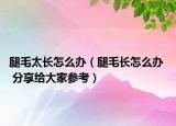 腿毛太長怎么辦（腿毛長怎么辦  分享給大家參考）