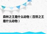 森林之王是什么動物（百獸之王是什么動物）