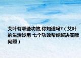 艾葉有哪些功效,你知道嗎?（艾葉的生活妙用 七個功效幫你解決實際問題）