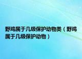 野雞屬于幾級(jí)保護(hù)動(dòng)物類（野雞屬于幾級(jí)保護(hù)動(dòng)物）