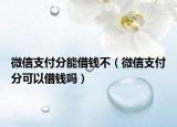 微信支付分能借錢(qián)不（微信支付分可以借錢(qián)嗎）