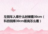 左倒車入庫什么時候看30cm（科目倒庫30cm距離怎么看）