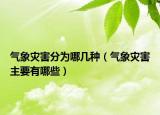 氣象災(zāi)害分為哪幾種（氣象災(zāi)害主要有哪些）