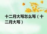 十二月大寫(xiě)怎么寫(xiě)（十二月大寫(xiě)）