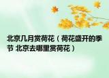 北京幾月賞荷花（荷花盛開(kāi)的季節(jié) 北京去哪里賞荷花）