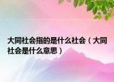 大同社會指的是什么社會（大同社會是什么意思）