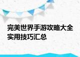 完美世界手游攻略大全 實(shí)用技巧匯總