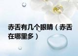 赤舌有幾個(gè)眼睛（赤舌在哪里多）