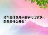 動車是什么開頭的字母比較快（動車是什么開頭）