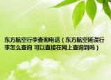 東方航空行李查詢電話（東方航空延誤行李怎么查詢 可以直接在網(wǎng)上查詢到嗎）