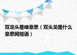 雙龍頭是啥意思（雙頭龍是什么意思網(wǎng)絡(luò)語(yǔ)）