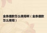 金條借款怎么使用?。ń饤l借款怎么使用）