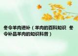冬令羊肉進補（羊肉的百科知識  冬令補品羊肉的知識科普）