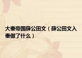 大秦帝國(guó)薛公田文（薛公田文入秦做了什么）